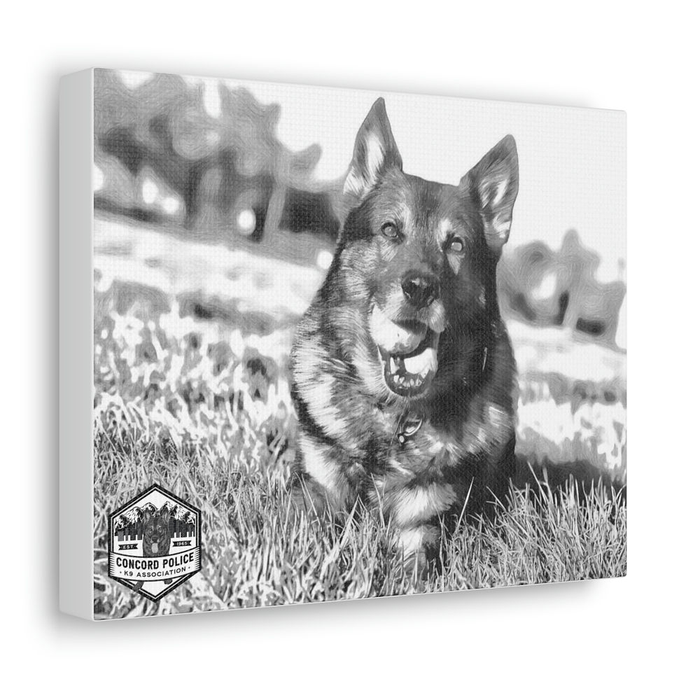 Canvas Gallery Wraps