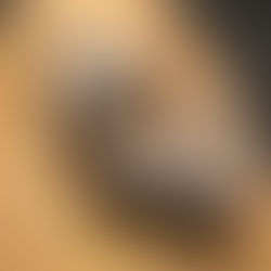 Schokoladen-Mandel-Kuchen