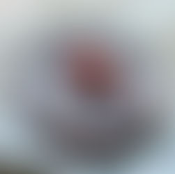 Pflaumenkuchen mit Haselnüssen