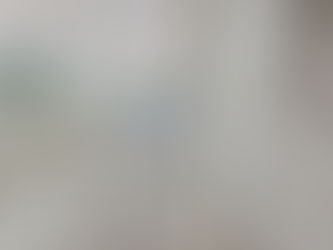 Home Renovation Project