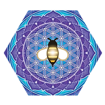 p-59837-ia02-floweroflife (2).png