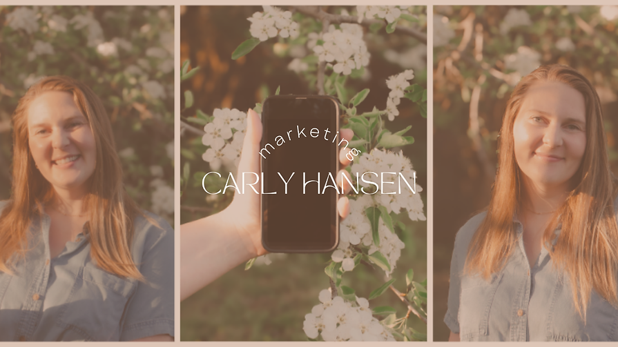 WebsiteBanner.png