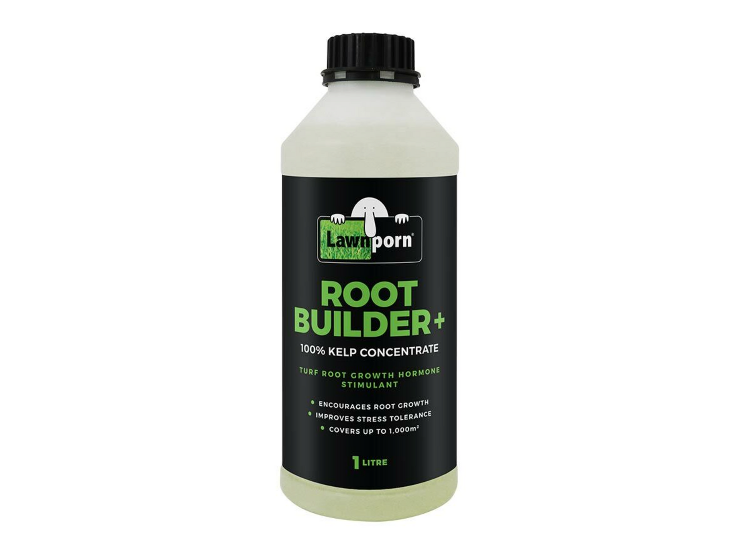 Root builder+