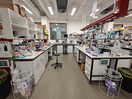 More lab space is always nice