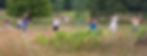 9-meadow-women-dance-copy-2_orig.jpg