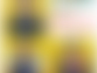 プロトレーナーがオススメするリカバリーアイテム★【VENEX:HOTTAB:R4】