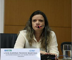 Imagem18.jpg