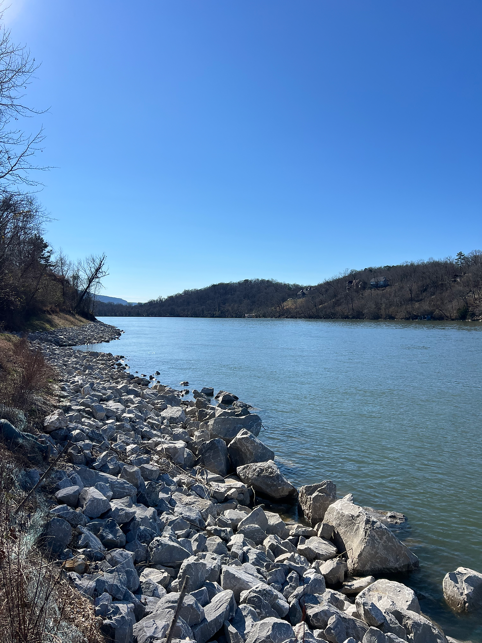 Gorgeous Views of Tennessee River