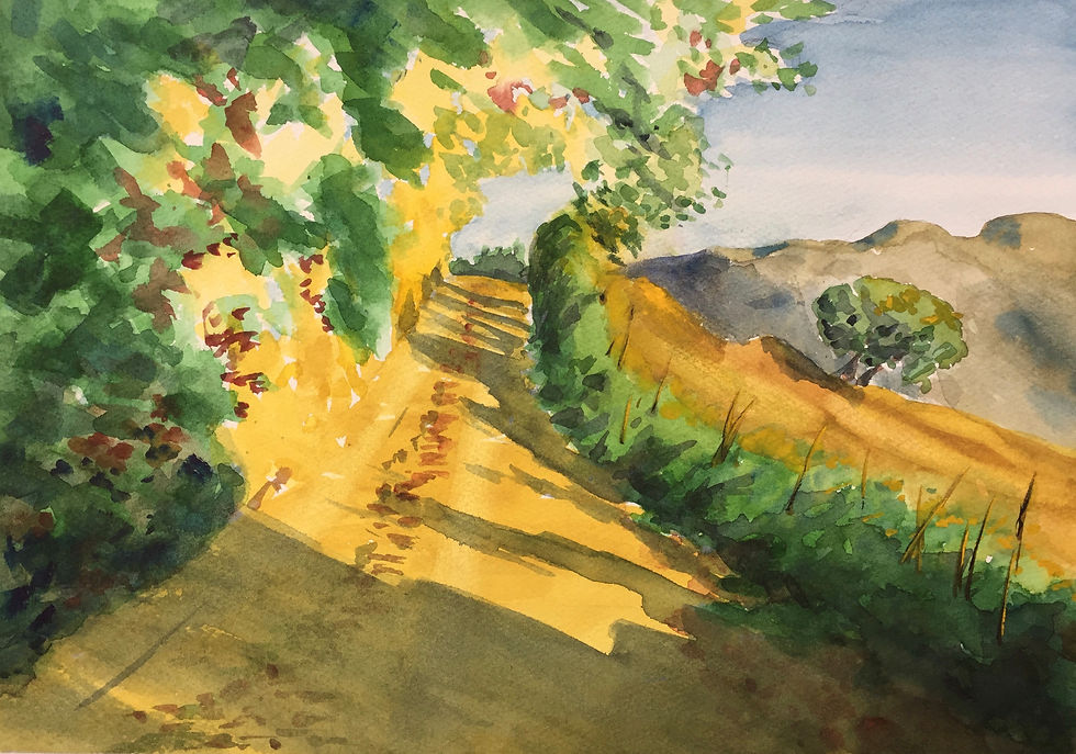 Morning in Umbria