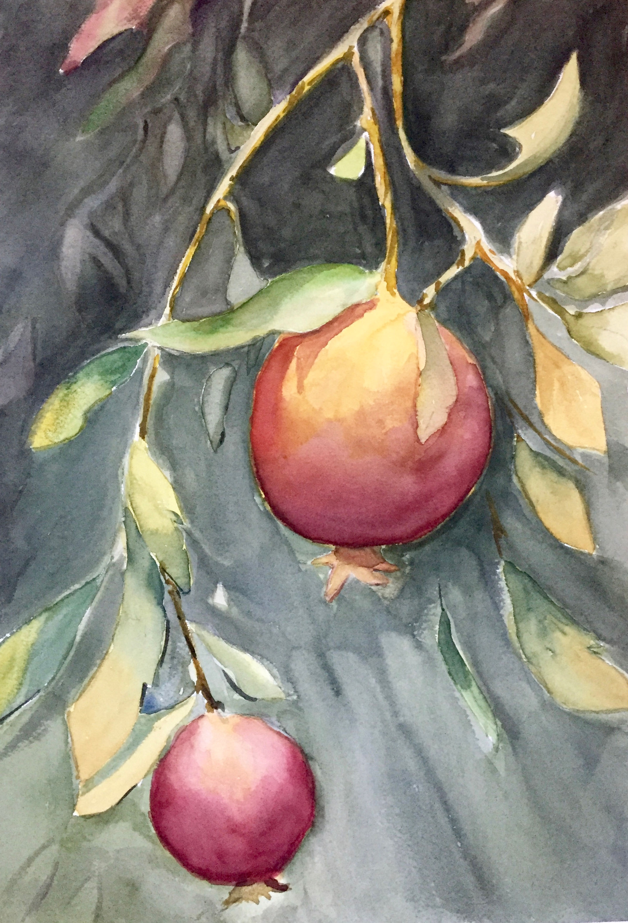 Pomegranates