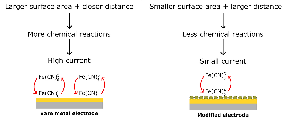 Fig. 1 Basic working principle of affinity based electrochemical sensors