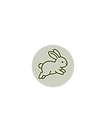 Rabbit Time.png