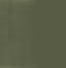 SF Green Background.png