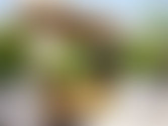 こしきの…今日 ✽心からの感謝✽