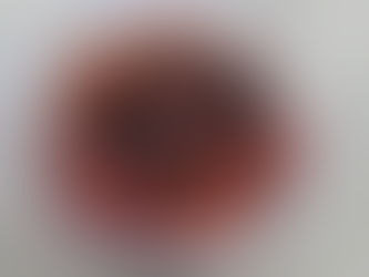 こしきの…今日 ✽真心うめぼし✽