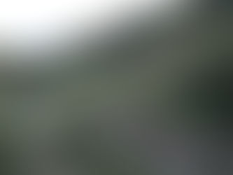 こしきの…今日 ✽待ち遠しいなあ・・・✽