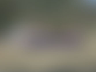 こしきの…今日 ✽出初式✽