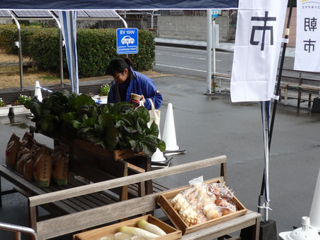 こしきの…今日 ✽朝市✽
