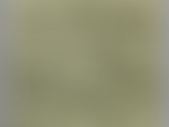 こしきの…今日 ✽目指せ!てっぺん✽