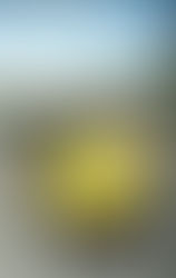 こしきの...今日 *GWのお得情報①*