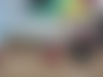 こしきの…今日 ✽新たな試み✽