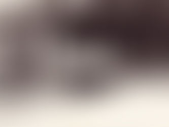 こしきの…今日 ✽歴史を受け継ぐ✽