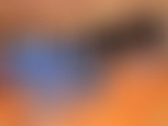 こしきの…今日 ✽それぞれの夢に向かって✽