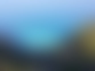 こしきの...今日 ✽碧✽