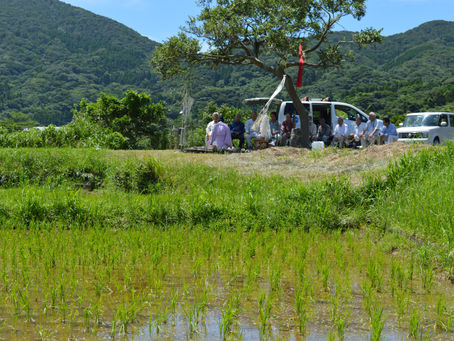 こしきの今日 *「田の神」に豊作を願って・・・*