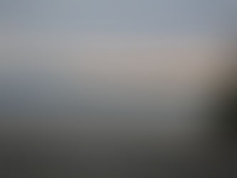 こしきの…今日 ✽桜島✽