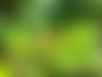こしきの…今日 *赤い実*