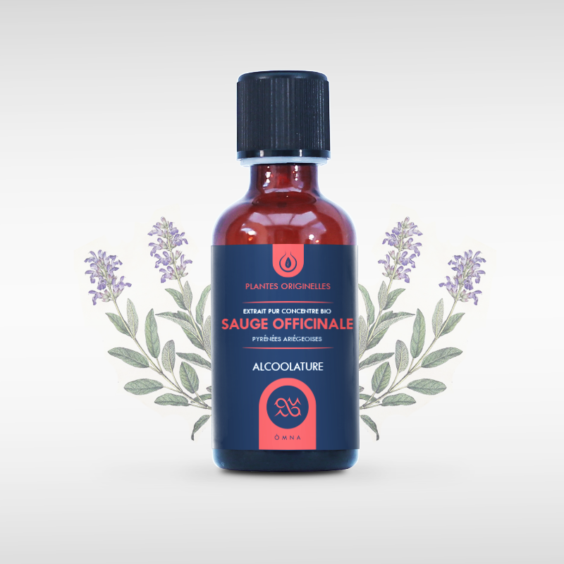 Alcoolature bio de Sauge officinale