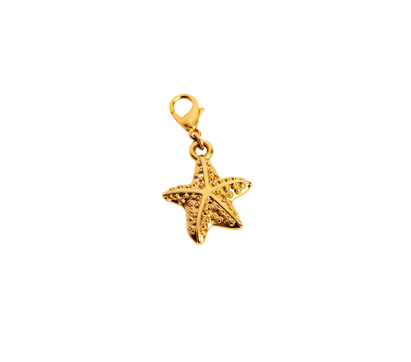 Pingente Estrela Marinha P