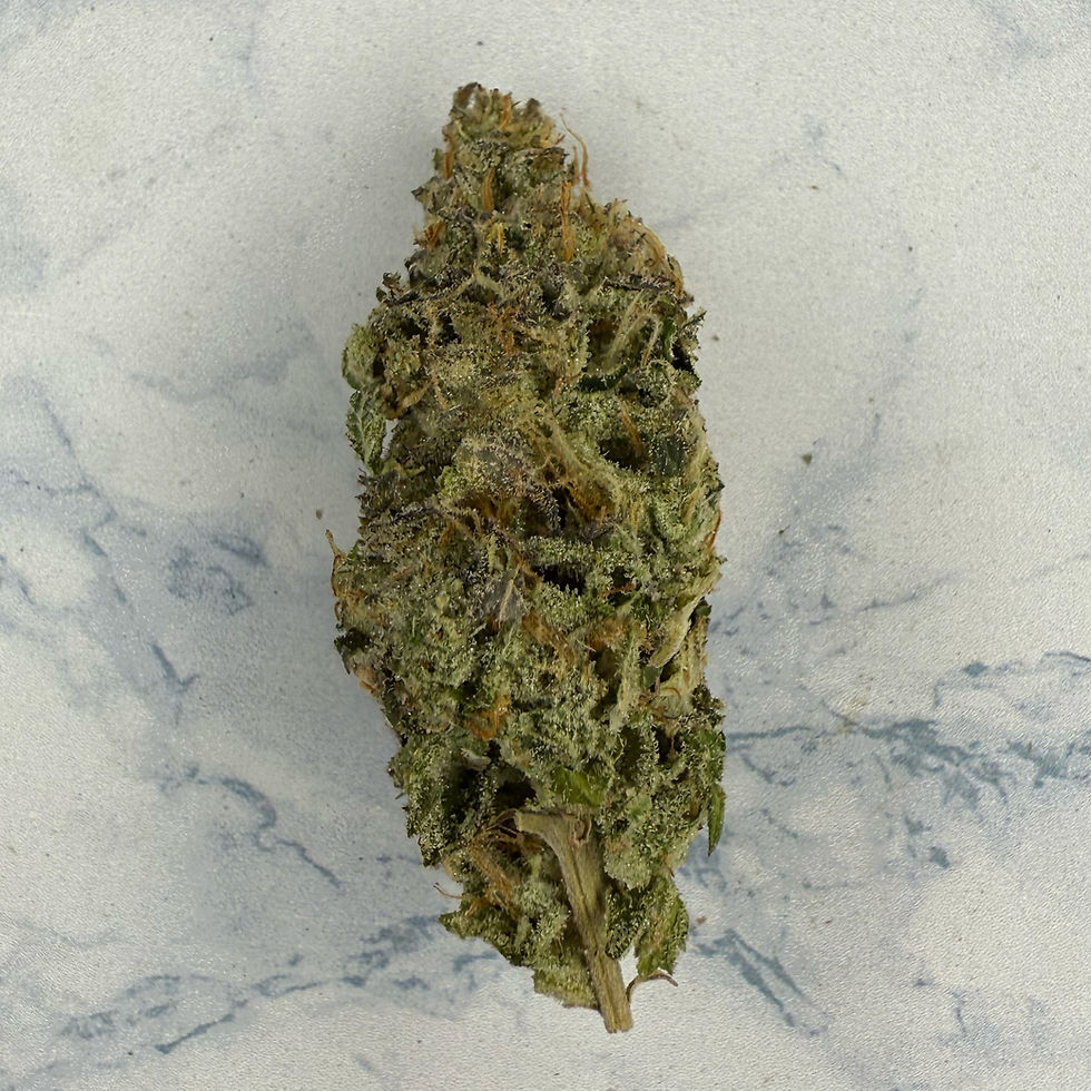 clearwater canna gmo bud.jpg