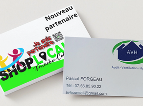 AVH Conseils