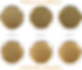 Pediococcus X Lactobacillus