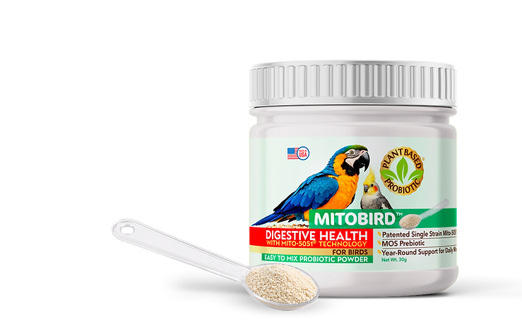 MITOBIRD-Powder-Probiotics-Supplements-Plant-Based-Imagilin-001.png