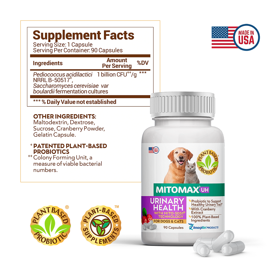 Thumbnail: MITOMAX® UH: Plant-Based Probiotics with Cranberry for Dogs and Cats - Promoting Urinary Health.