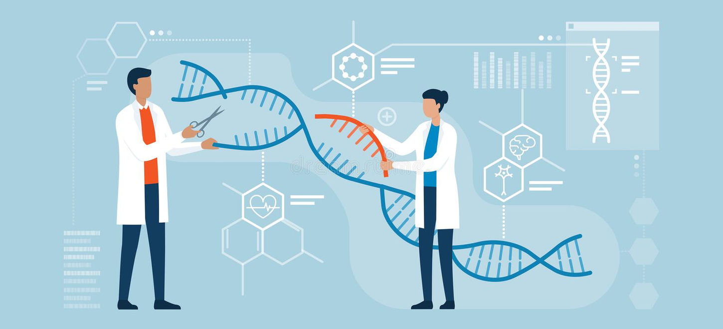 dna-genome-editing-scientists-analyzing-helix-organisms-crispr-technology-164887378.jpg
