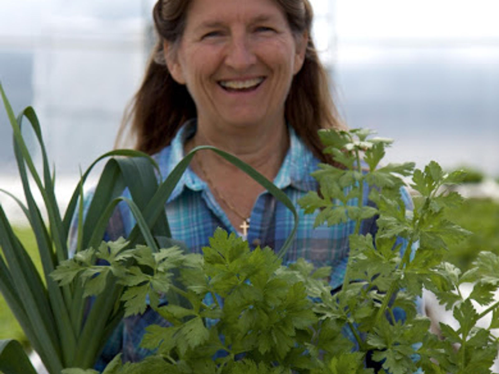 Aquatic Greens Farm...will soon become Grow On at AG Farm