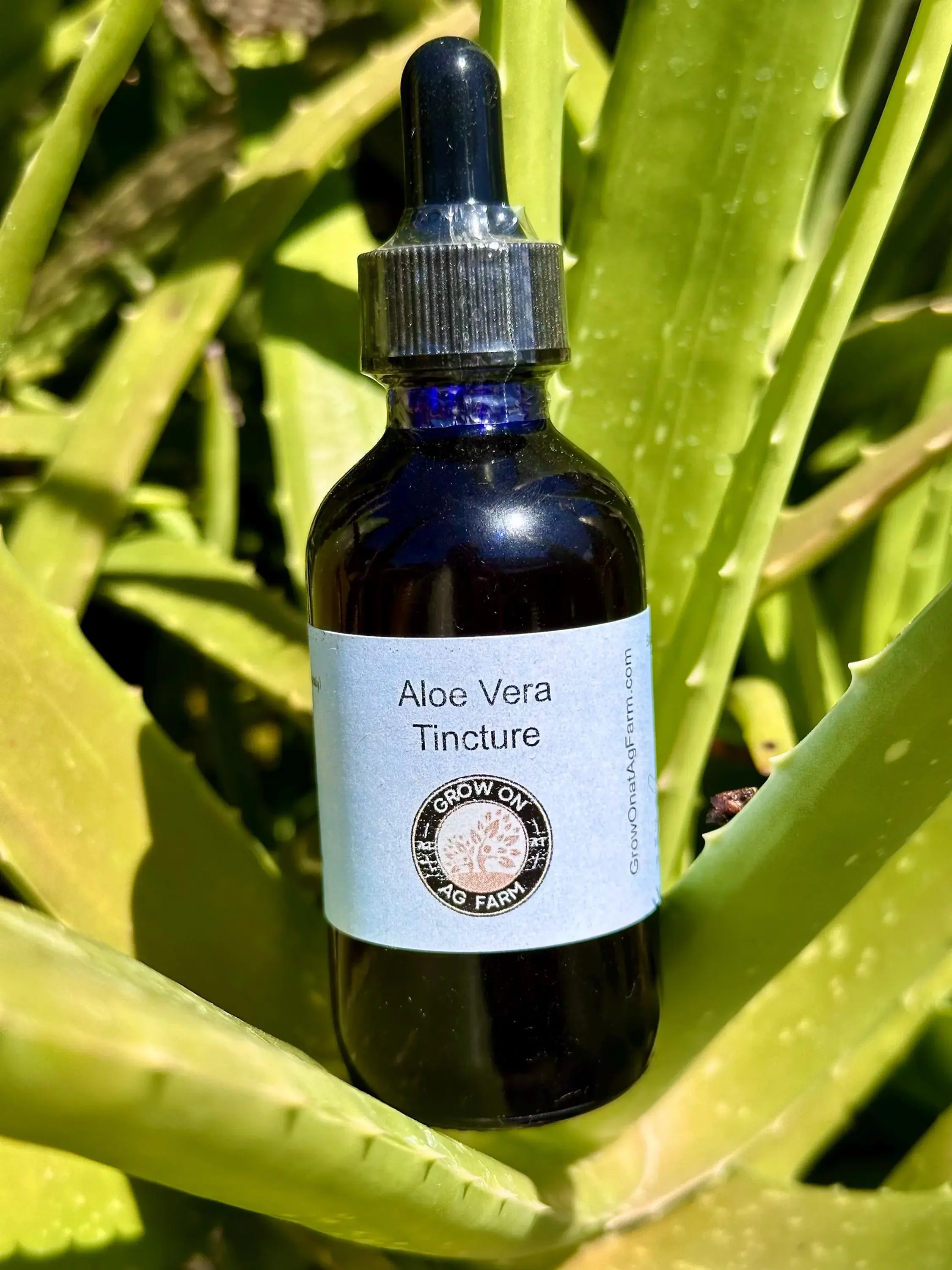 Aloe Vera - 2 oz.