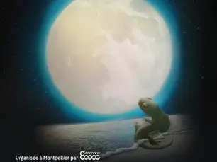 Affiche de la nuit des chercheuses Montpellier