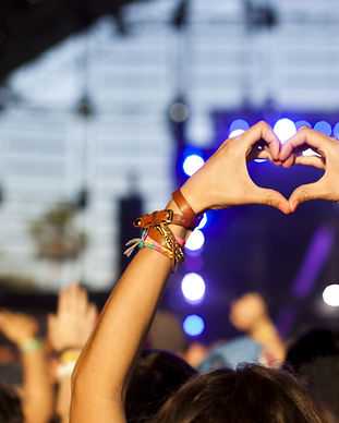 Festival Fun