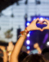 Festival Fun