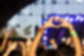 Festival Fun