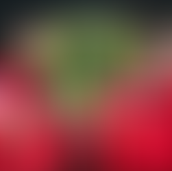 Facts or Farce: Does Ferrari Really Not Understand How to Handle Its Drivers?