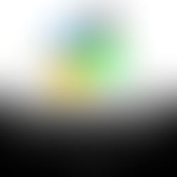 What's the best option?