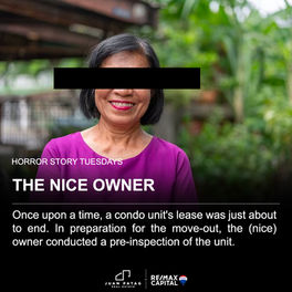 The Nice Owner