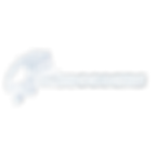 Logo_WiseOceans_White.png