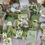 Thumbnail: just met you etari life deco stickers